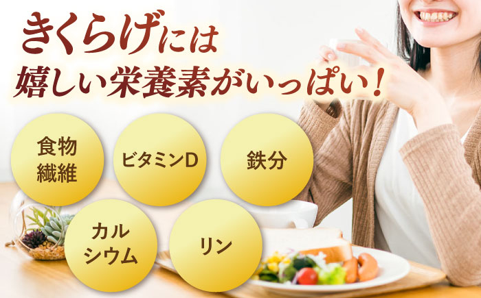 キクラゲ  木耳  きのこ きくらげ 健康