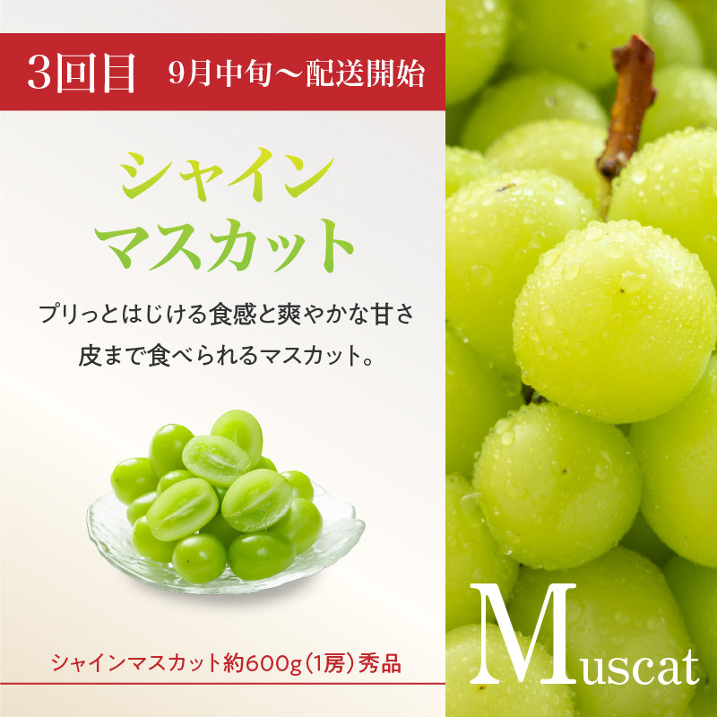 ≪先行受付≫ 山形フルーツ人気ベスト3★【定期便全3回】