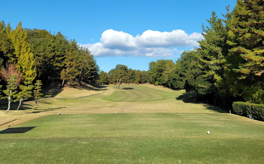 伊深の森 カントリー クラブ 利用券