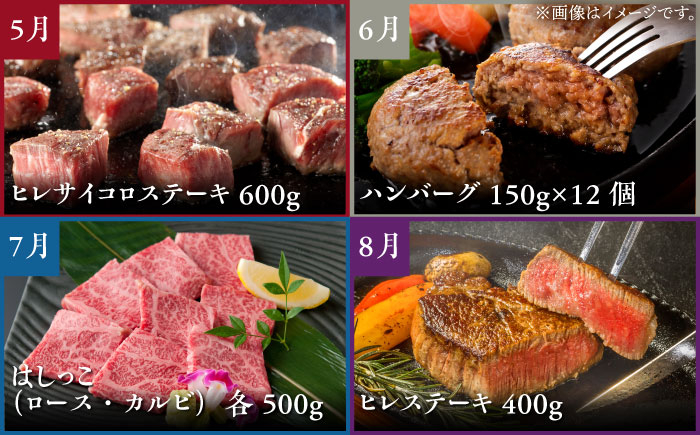 【全12回定期便】佐賀牛 プレミアムコース（4人前） 【がばいフーズ】 [HCS121]