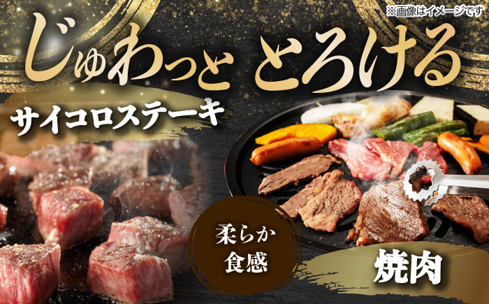 4回 飛騨牛 プレミアム 定期便 4人前 しゃぶしゃぶ すき焼き サイコロステーキ 焼肉 各1kg