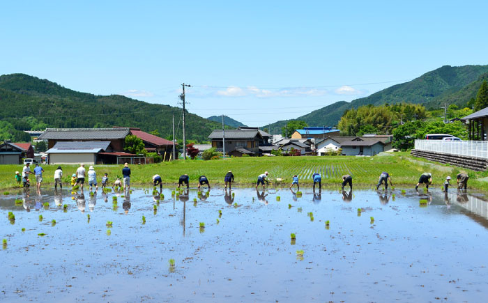 お米 米 白米 玄米 精米 選べる ご飯 5kg 国産 岐阜県産 白川