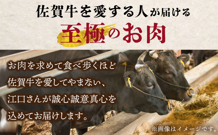 【全12回定期便】佐賀牛 赤身満喫コース（ヒレ・赤身ステーキ・赤身スライス）総計2.8kg 【がばいフーズ】 [HCS120]