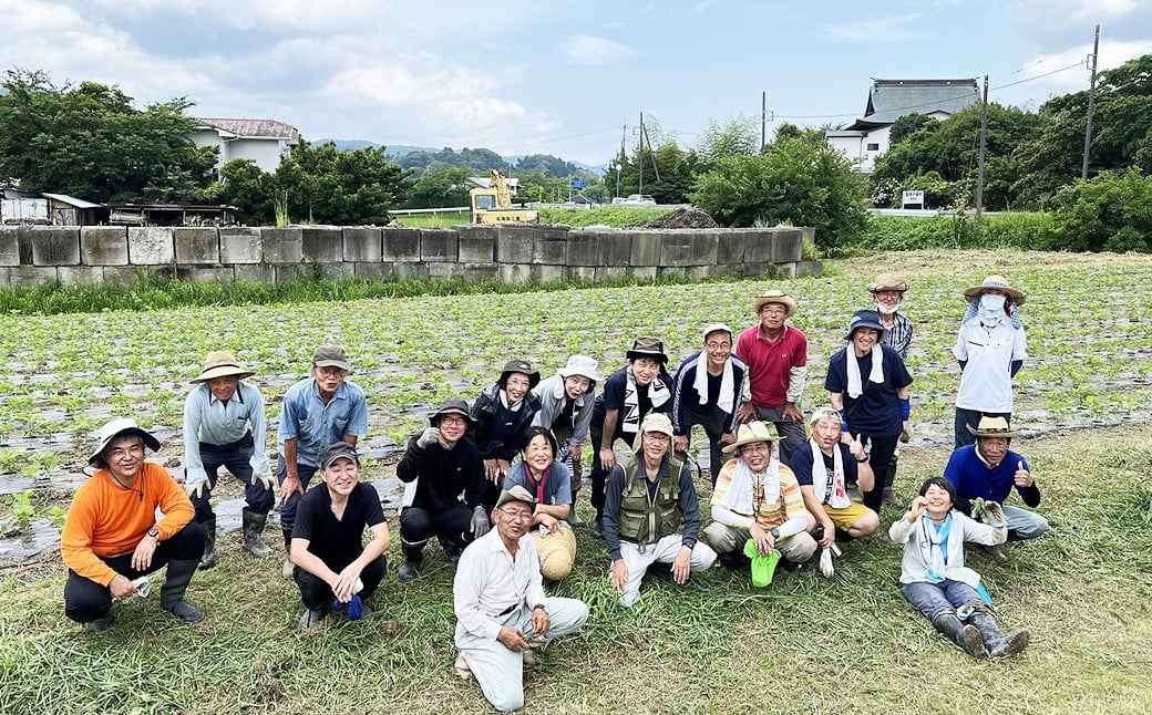 作業は年に数回行いますが、日常の管理は大山千枚田保存会が行うので、初めての方でも安心です。