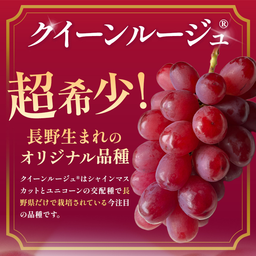 ひと口で感じる贅沢な甘さ