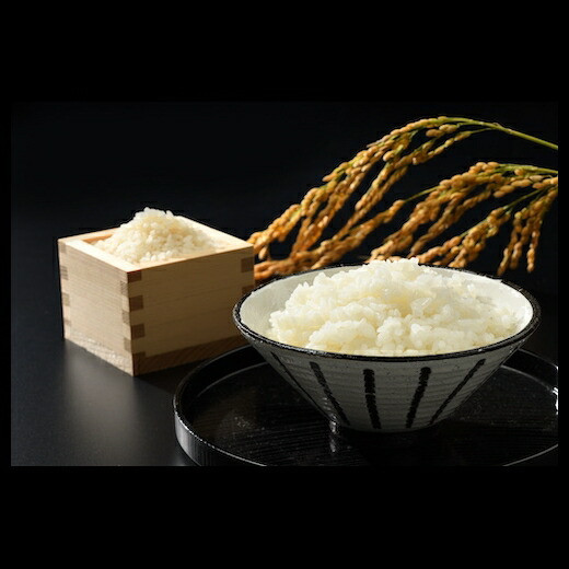 【令和6年産】福島県南相馬市産 高ライスセンター【無洗米】天のつぶ5kg×2袋