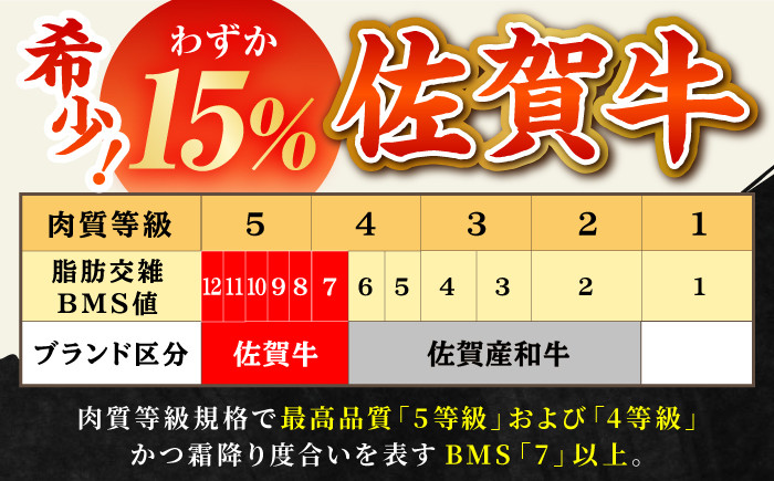 佐賀牛 焼肉 盛り合わせ 1.0kg ( 霜降り・赤身 各500g ) 【田中畜産牛肉店】 [HBH062] / 牛肉 肉 精肉