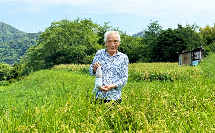 お酒 梅酒 うめ酒 特別純米酒 純米酒 葉山 葉山ようこそ 神奈川県 葉山町 セット