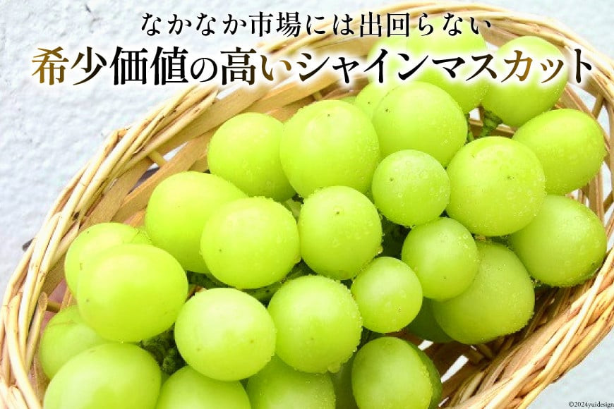 穂坂果実郷