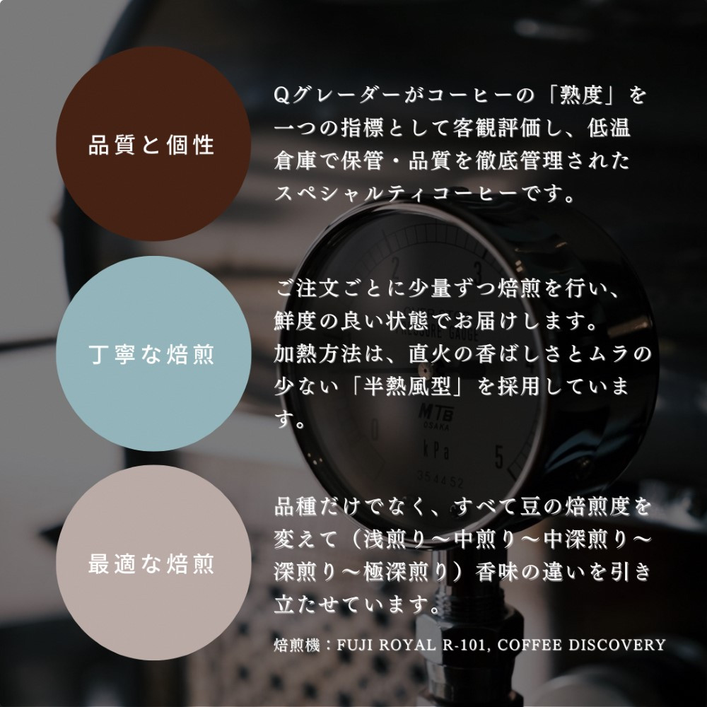 【定期便:6ヶ月連続でお届け】シングルオリジンコーヒー 100g × 3品種(中挽き)計300g×6ヶ月