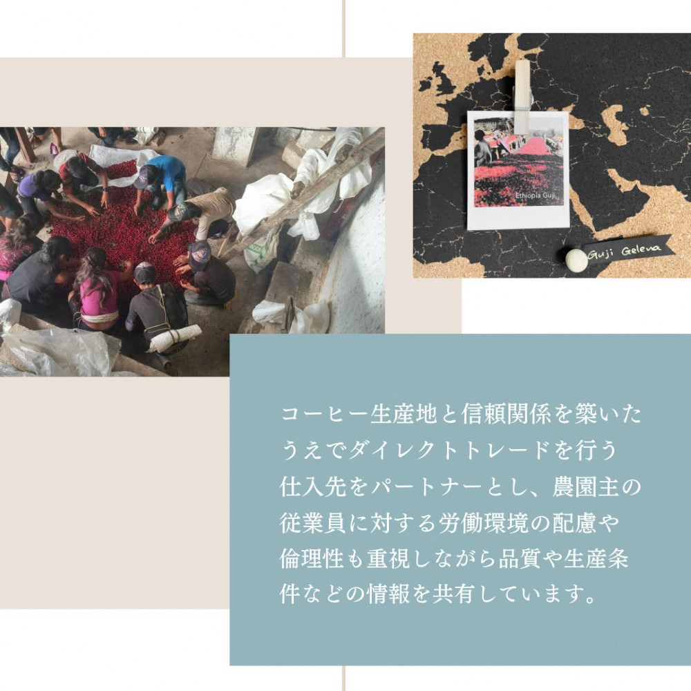 【3ヶ月定期便】シングルオリジンコーヒー 100g × 3品種(中挽き)