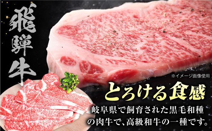 飛騨牛 ブランド牛 A5 サーロイン ステーキ サーロインステーキ 4枚  ステーキ肉 すてーき  さーろいん 肉 牛肉 定期便