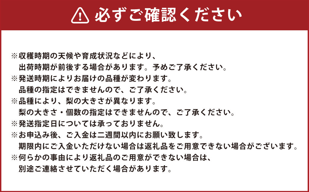 大分県九重町産 梨詰め合わせ 約10kg