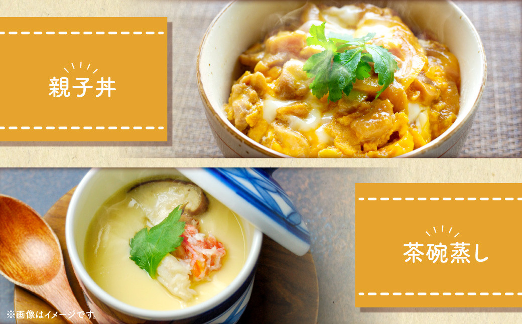 【6ヶ月定期便】 電子たまご（白玉） 合計180個（30個×6回）