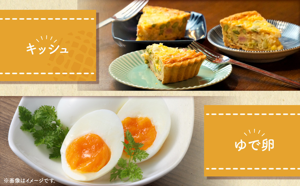 【12ヶ月定期便】 電子たまご（白玉） 合計360個（30個×12回）