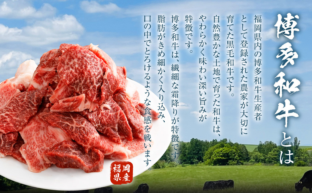 博多和牛 焼肉 切落し ミックス