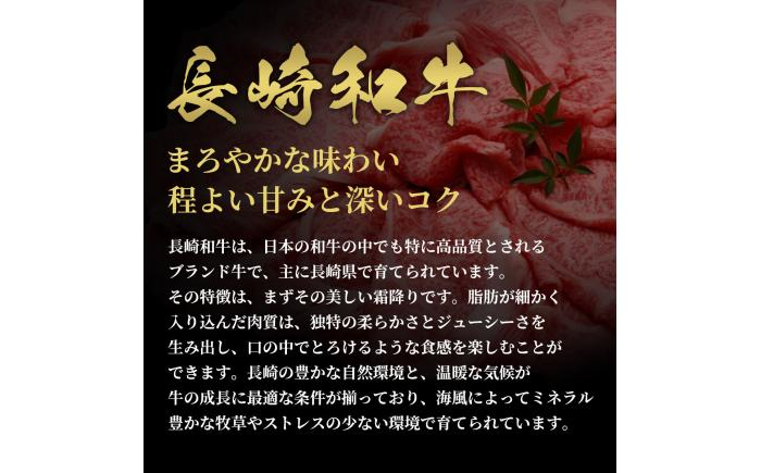 ステーキ 人気 和牛  長崎和牛 希少 柔らかい やわらかい 贈り物 ギフト  