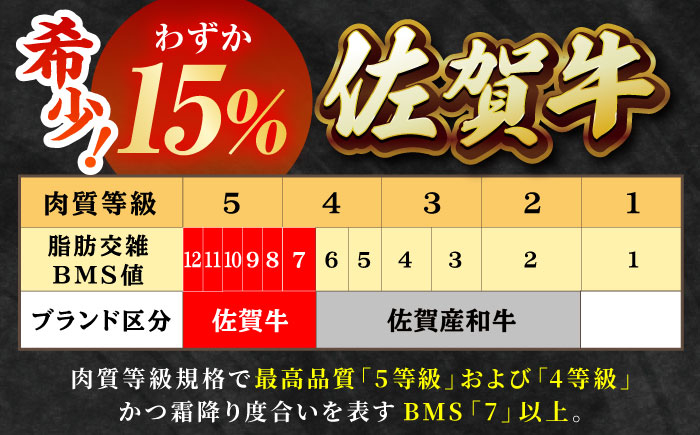 【2度の農林水産大臣賞】佐賀牛 ヒレ ステーキ 300g(150g×2枚）【田中畜産牛肉店】  [HBH147]