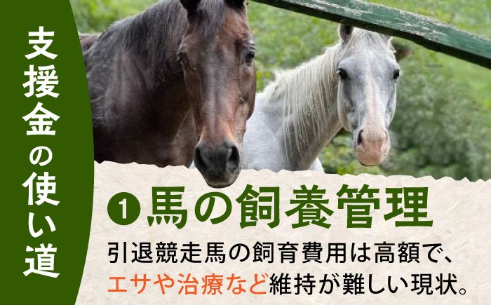 【幸せな第二の馬生を】引退競走馬支援 100,000円 【CLUB RIO】