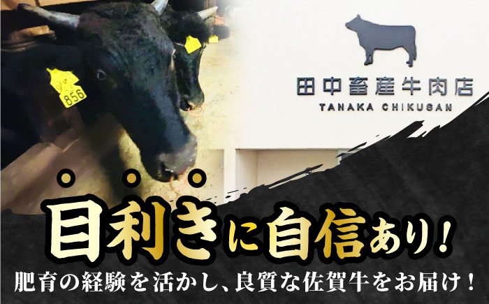 【2度の農林水産大臣賞】佐賀牛 ヒレ ステーキ 300g(150g×2枚）【田中畜産牛肉店】  [HBH147]