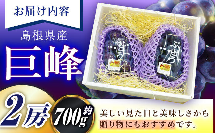 葡萄 ぶどう ブドウ 厳選  産地直送 期間限定 フルーツ 果実 人気 くだもの