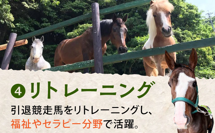 【幸せな第二の馬生を】引退競走馬支援 100,000円 【CLUB RIO】