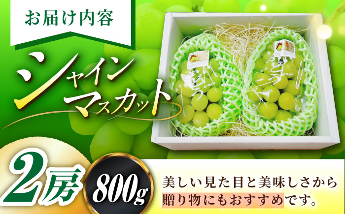 糖度 18度以上 シャインマスカット 人気 おすすめ フルーツ 果物 農園 