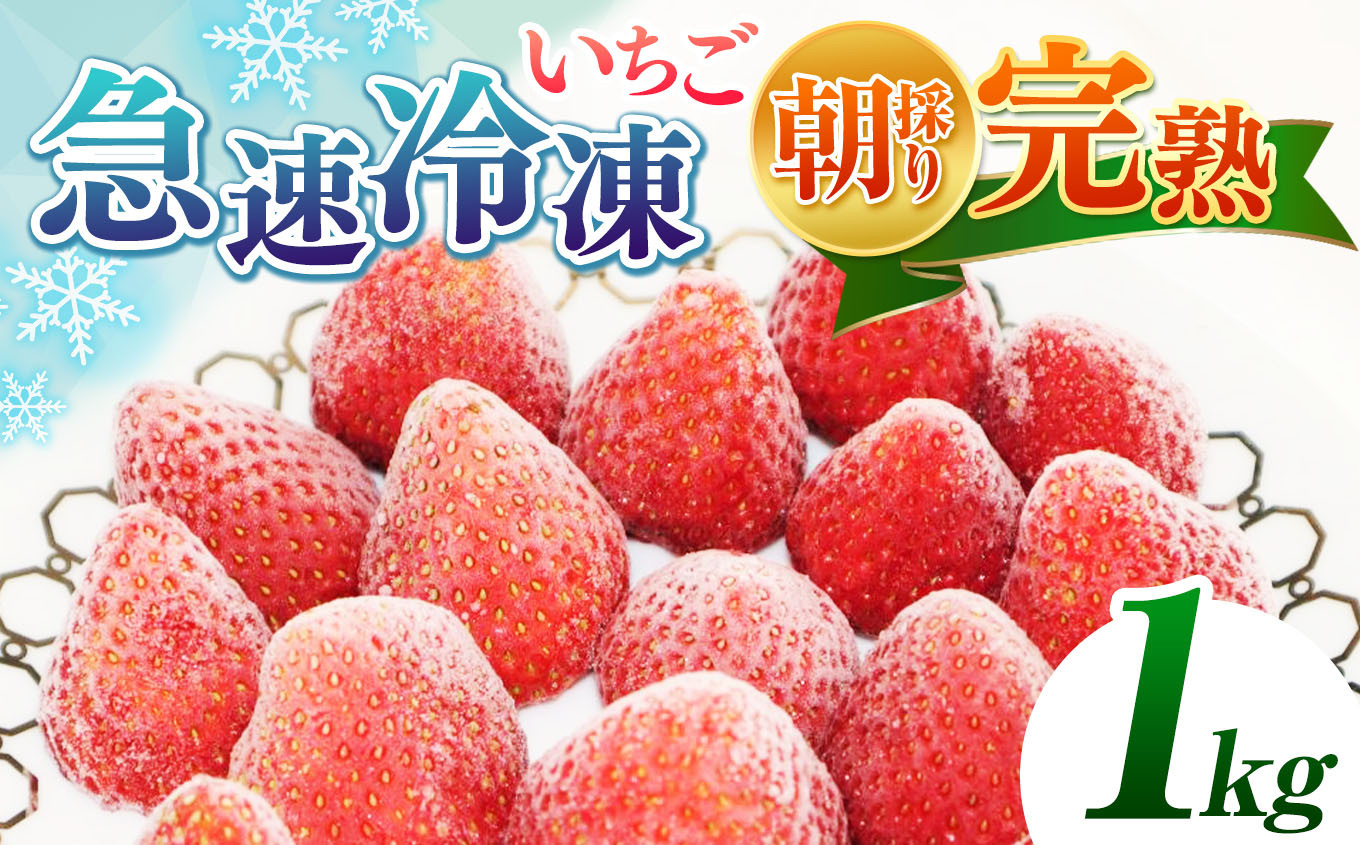 品種は当園のお任せとなります
