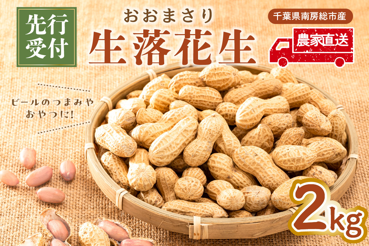 おおまさり 生落花生 2kg 千葉県南房総市産 