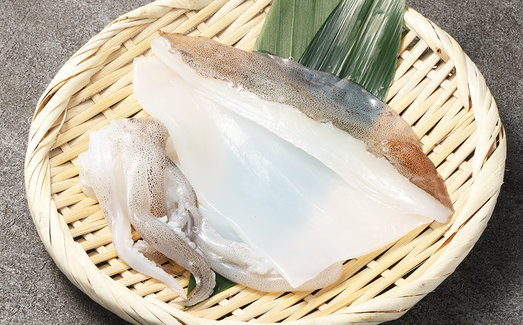 熊本県産冷凍活アオリイカブロック(刺身用) 2枚 合計1杯