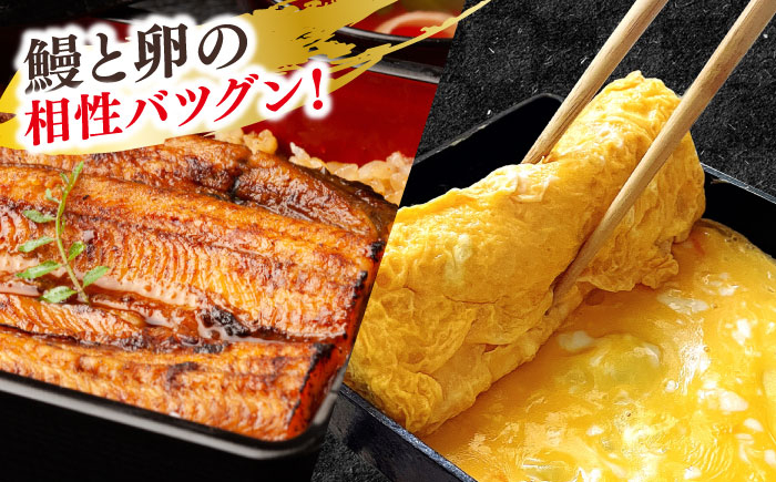 国産 うなぎ ウナギ 鰻 蒲焼き 国産 卵焼き 島根 松江 おすすめ 人気