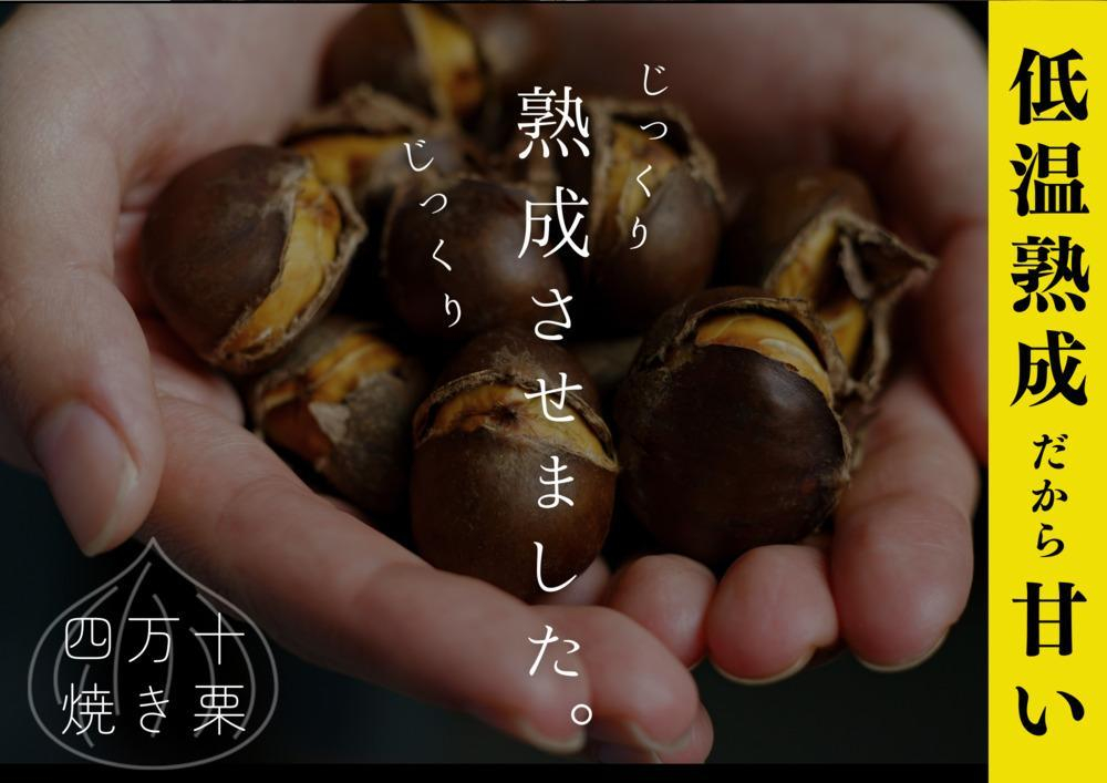 栗 くり クリ 焼き栗 熟成 秋の味覚 秋 詰め合わせ 高知 四万十 和栗カフェ いちじゃもの