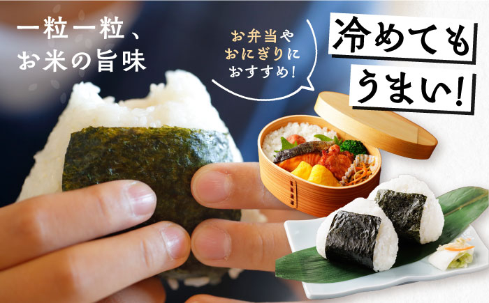 米 こめ コメ 白米 精米 こしひかり コシヒカリ お米 ブランド米 恵那市産 贈答 ギフト おすすめ 人気 岐阜県 恵那市