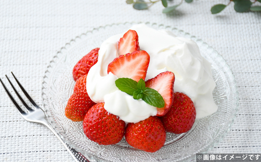 長崎産 ゆめのか イチゴ（250g×4パック）