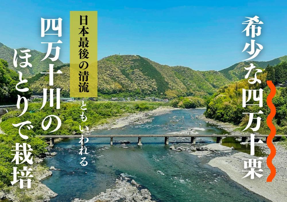 栗 くり クリ 焼き栗 熟成 秋の味覚 秋 詰め合わせ 高知 四万十 和栗カフェ いちじゃもの