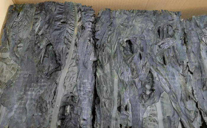 わかめ ワカメ 海藻 国産 料理 天然 島根 松江 おすすめ ギフト 贈り物 