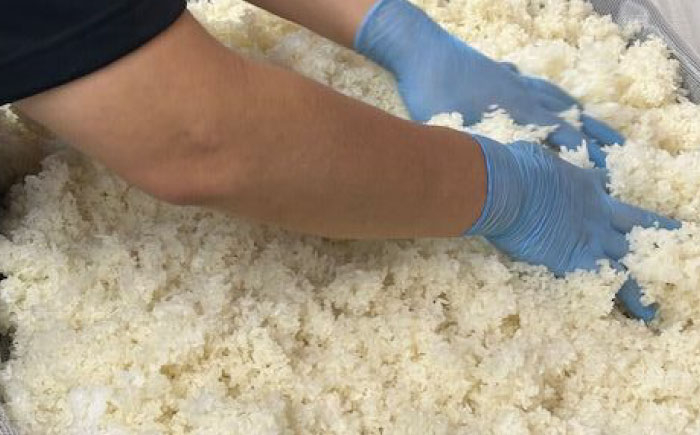 甘酒 米麹 ノンアルコール 健康 発酵飲料 島根 松江 おすすめ 人気 おいしい