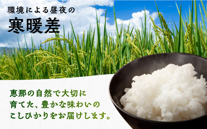 米 こめ コメ 白米 精米 こしひかり コシヒカリ お米 ブランド米 恵那市産 贈答 ギフト おすすめ 人気 岐阜県 恵那市