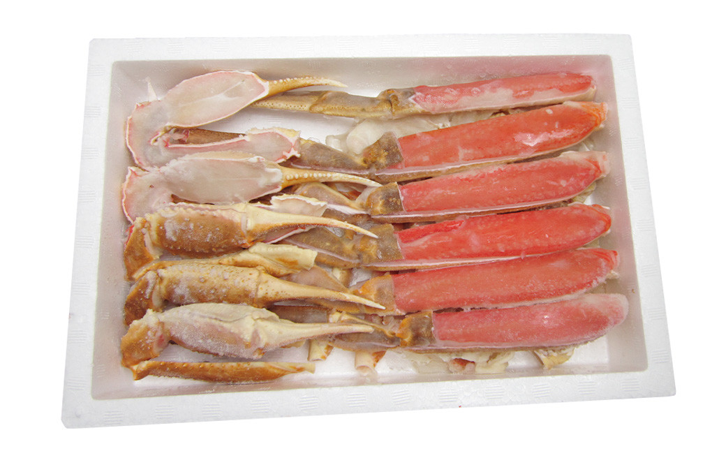 生ずわい蟹 ハーフポーション 約1.0kg ｜年内発送 年末発送 蟹 かに ズワイガニ ポーション 鍋 海鮮 大阪府 阪南市