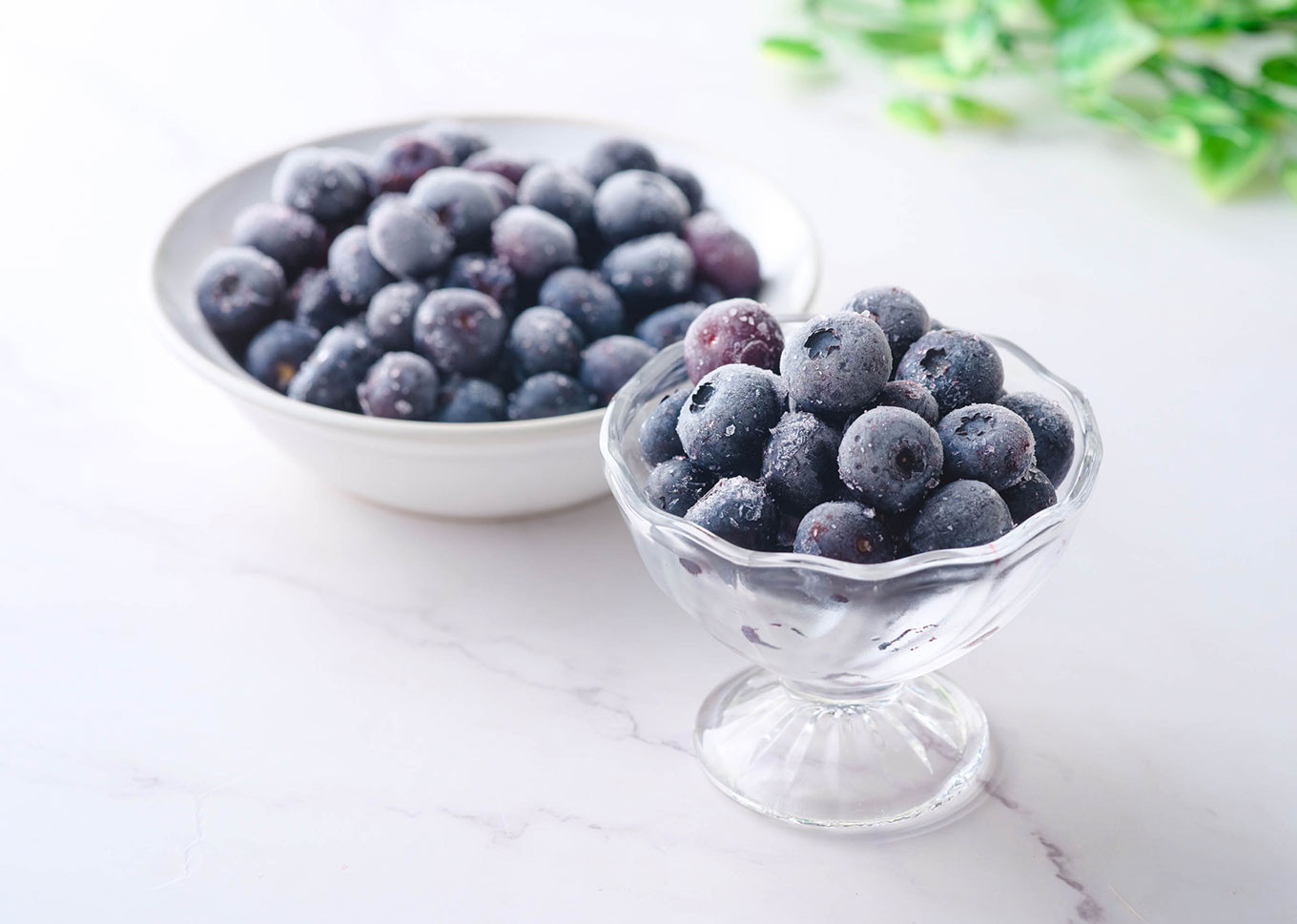 ※画像はイメージです