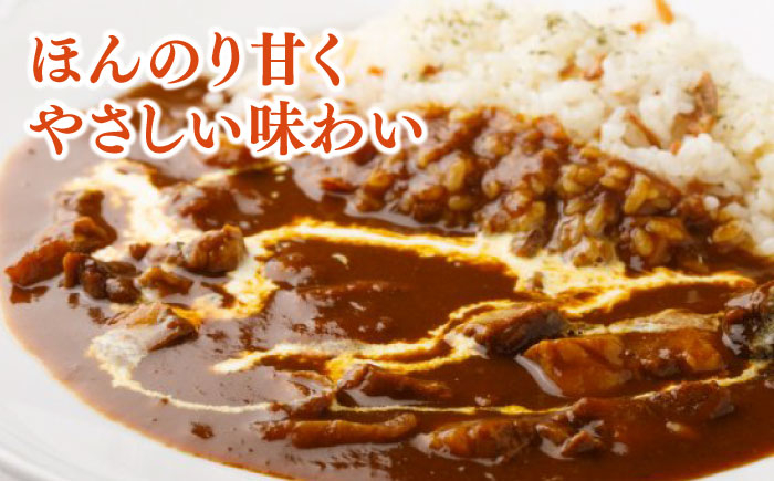 【12回定期便】プルミエ熟成カレー 180g×4袋 /フレンチキッチン プルミエ [UCF011]