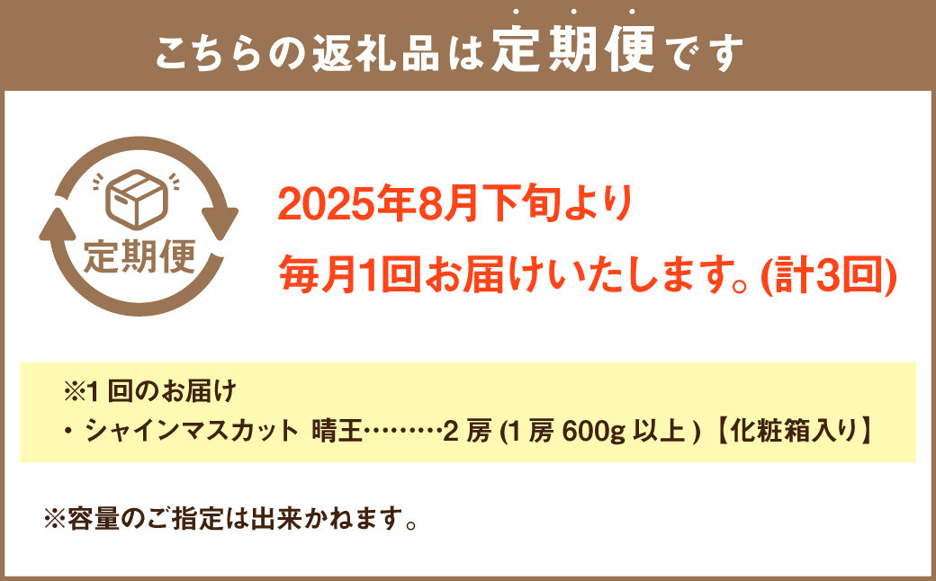 【3回定期便】岡山県産 シャインマスカット 晴王 計約3.6kg 2房（1房600g以上）×3回