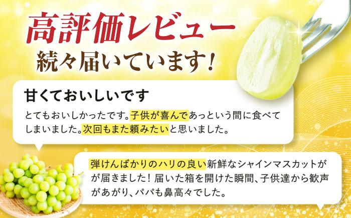 シャインマスカット ぶどう 種なし 旬 おすすめ ジューシー 新鮮 高糖度 甘い おいしい 高評価 人気 国産 熊本 山鹿市