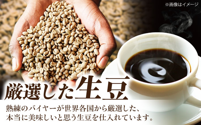 コーヒー豆 タンザニアブレンド 500g （250g×2袋）
