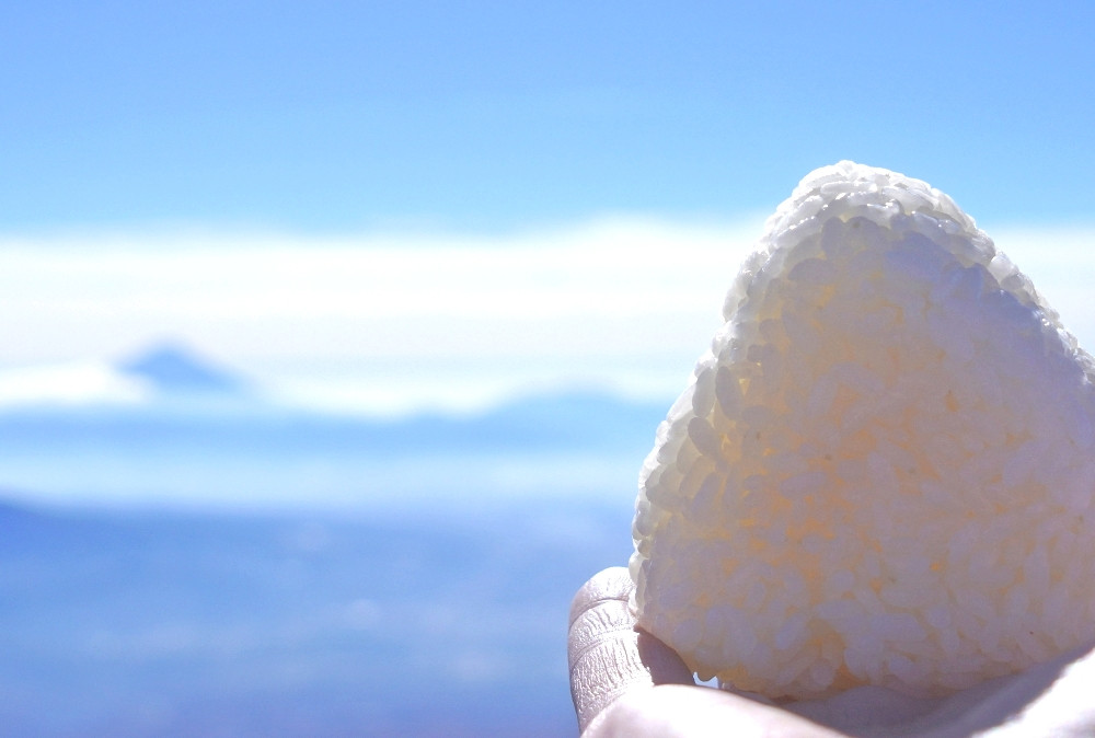 空舞米 新之助 4kg