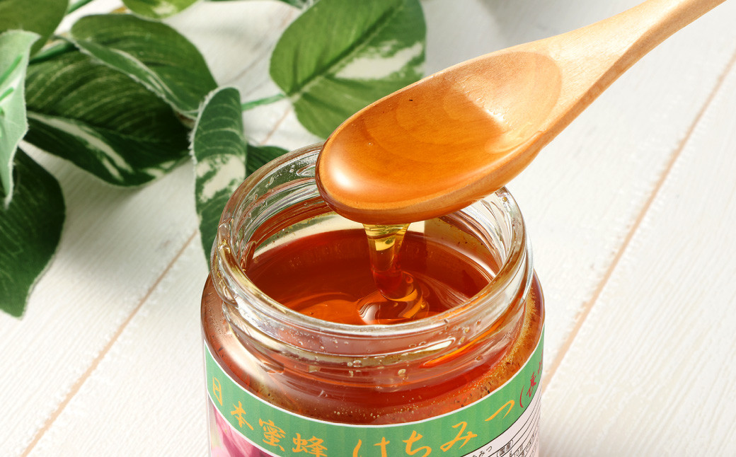 日本ミツバチ はちみつ （百花蜜）