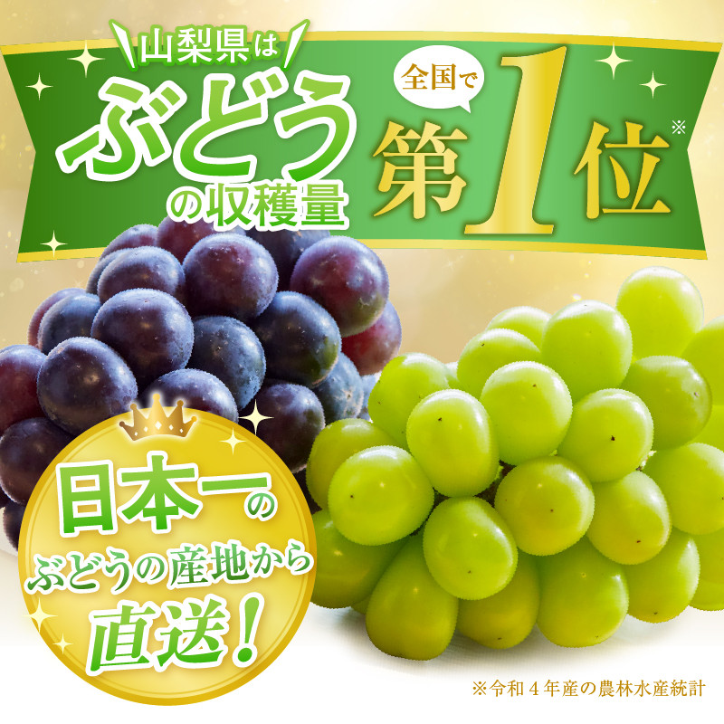 貴陽
