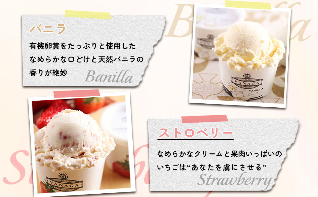 アイス アイスクリーム スイーツ デザート カップ 詰め合せ セット 島根 雲南