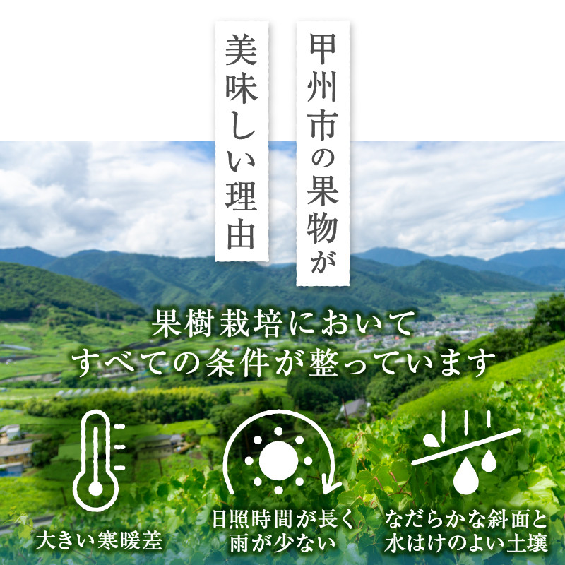 太陽