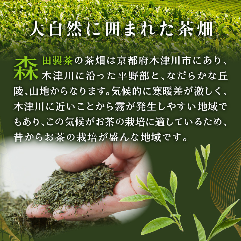 【選べる種類と数量】神どら 抹茶味&京番茶味のどら焼き 6個or8個セット